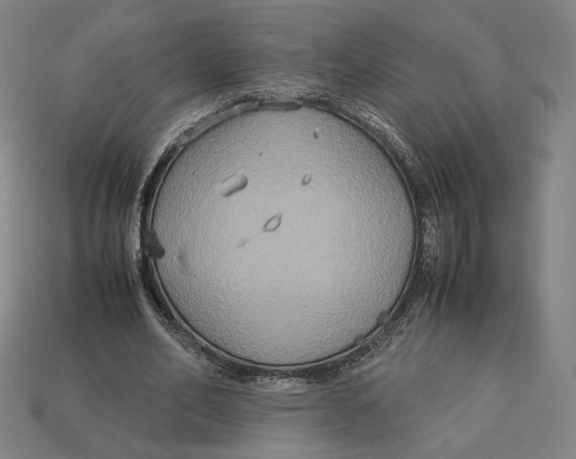 X0000113110582200909181630