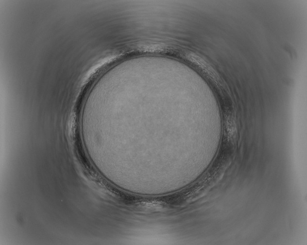 X0000113110583200909181630