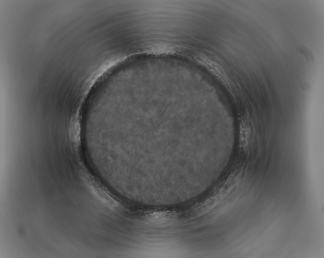 X0000113110584200909181630