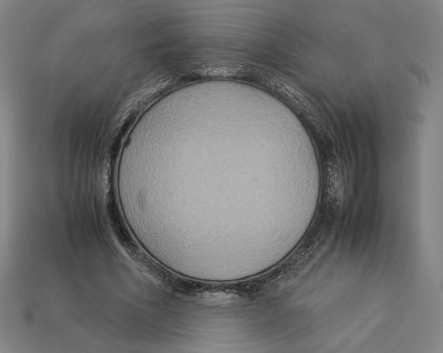 X0000113110586200909181630