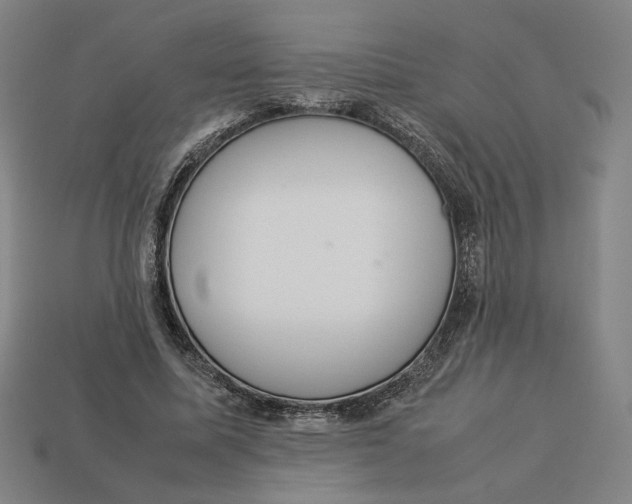 X0000113110587200909181630