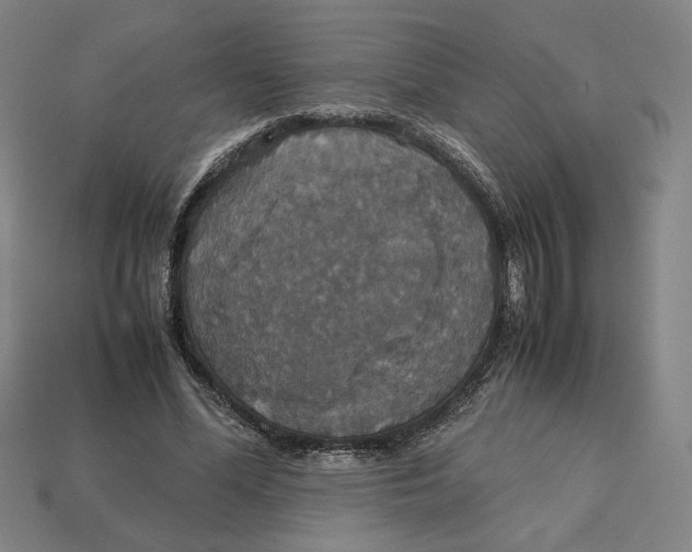 X0000113110588200909181630