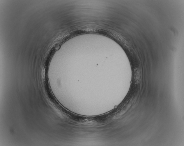 X0000113110589200909181630