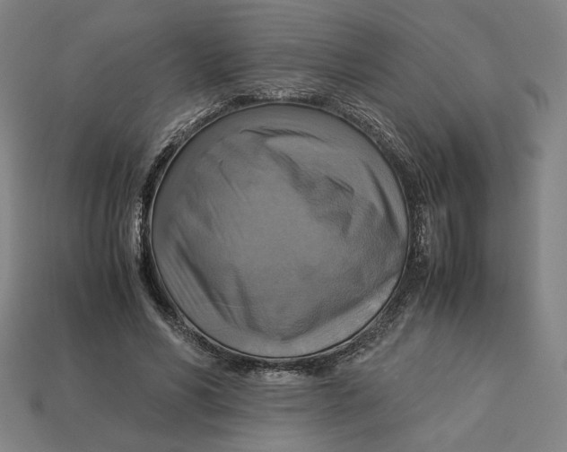 X0000113110590200909181630