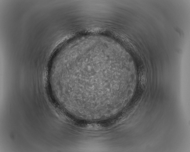 X0000113110591200909181630