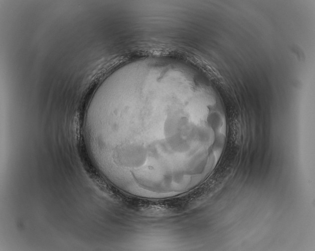 X0000113110594200909181630