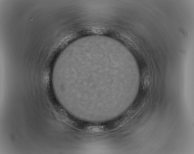 X0000113110595200909181630