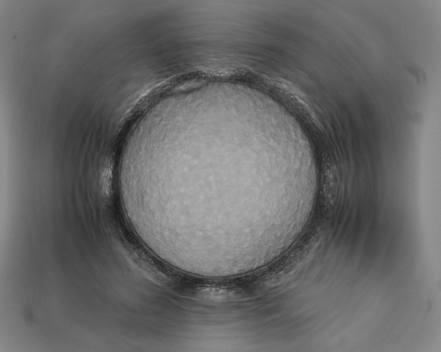 X0000113110596200909181630