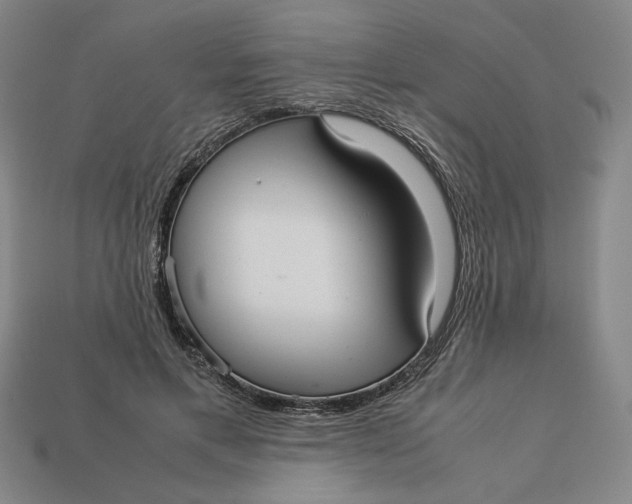 X0000113110597200909181630