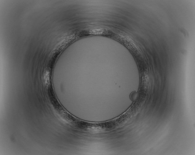 X0000113110598200909181630