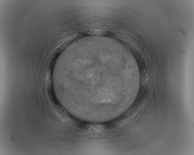 X0000113110599200909181630