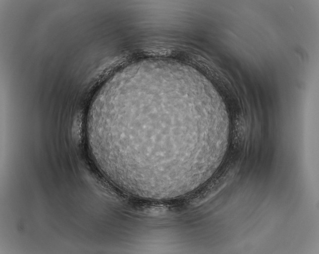 X0000113110600200909181630