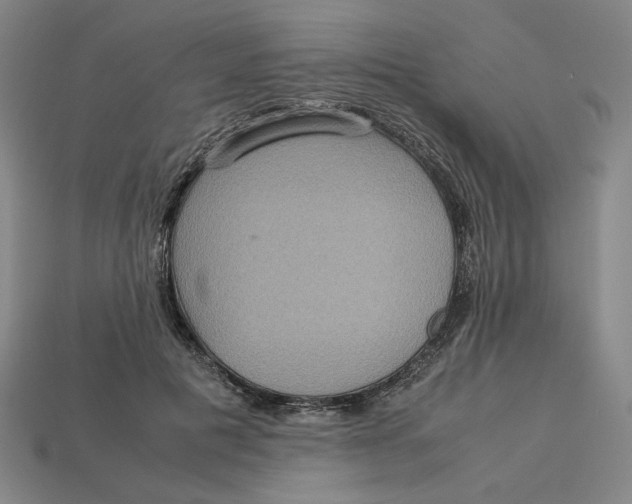 X0000113110601200909181630