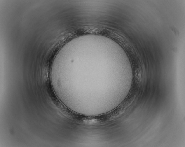 X0000113110602200909181630