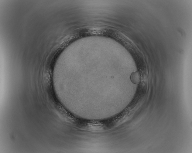 X0000113110603200909181630