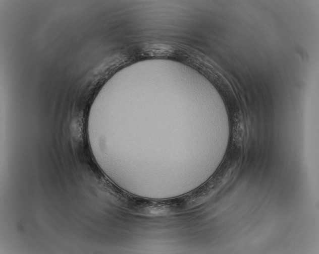 X0000113110604200909181630