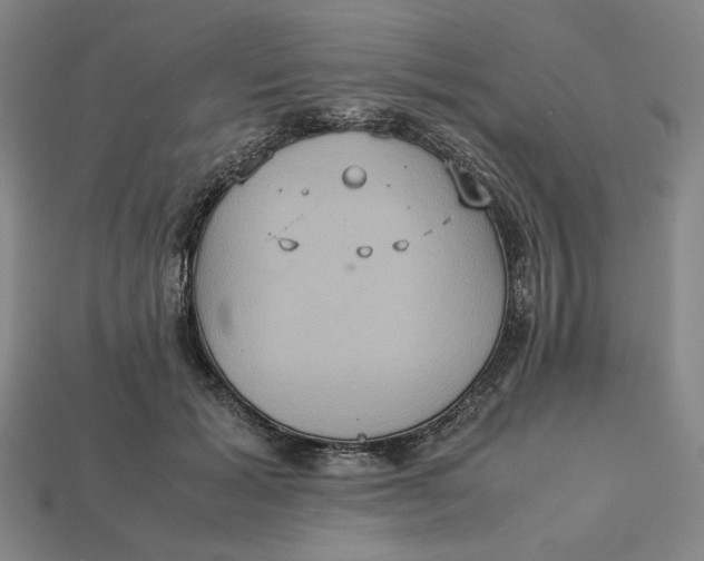 X0000113110605200909181630