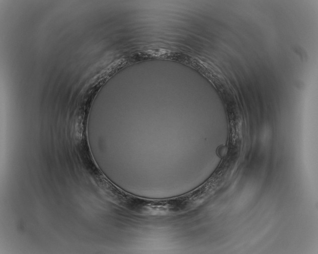 X0000113110606200909181630
