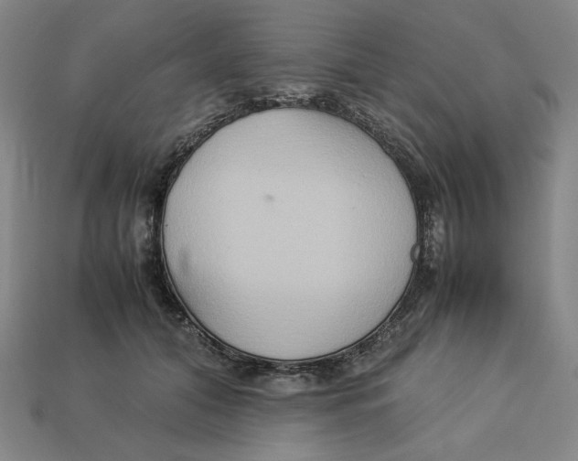 X0000113110608200909181630