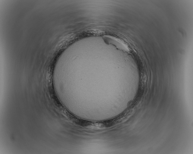 X0000113110609200909181630