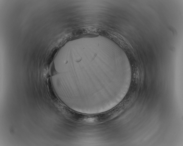 X0000113110610200909181630