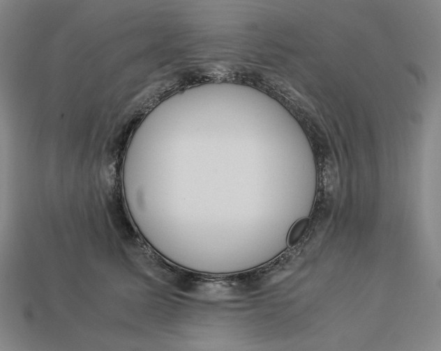 X0000113110611200909181630