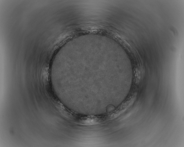 X0000113110612200909181630