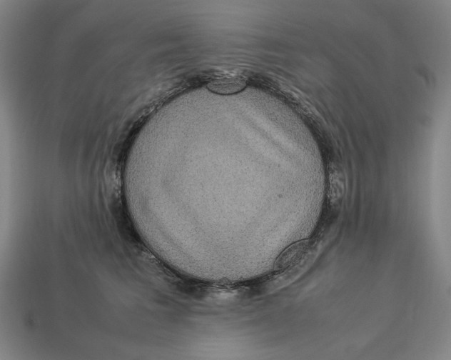X0000113110613200909181630