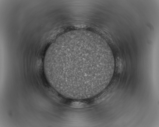 X0000113110614200909181630