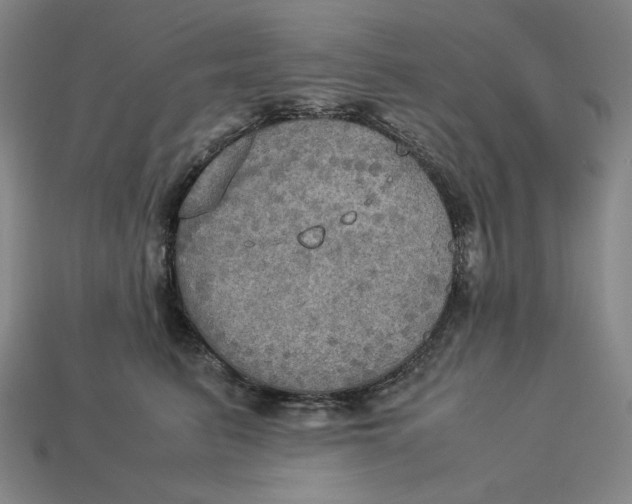 X0000113110615200909181630