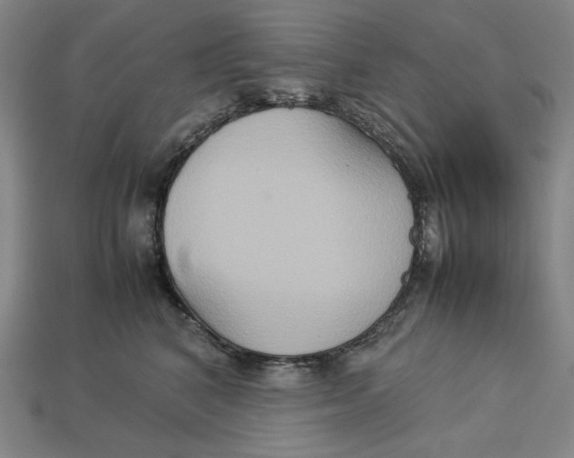X0000113110616200909181630