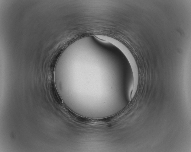 X0000113110617200909181630