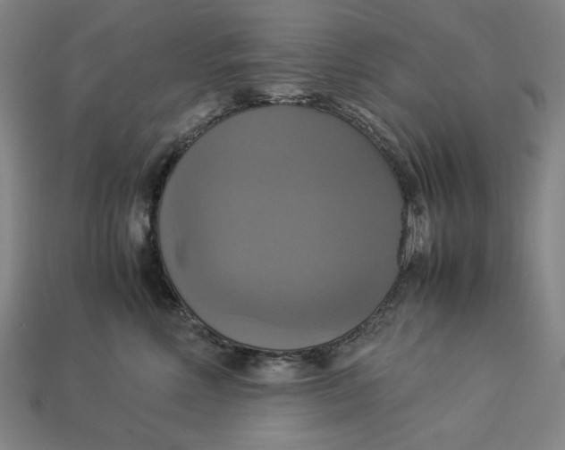 X0000113110618200909181630