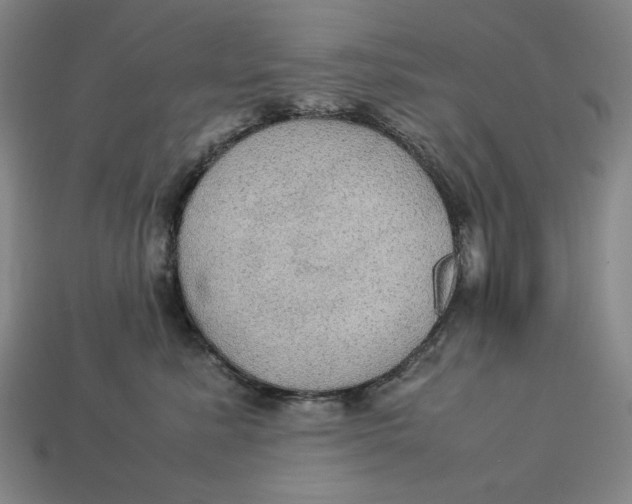 X0000113110619200909181630