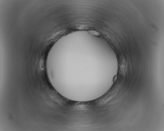 X0000113110620200909181630