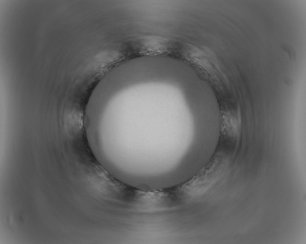 X0000113110621200909181630