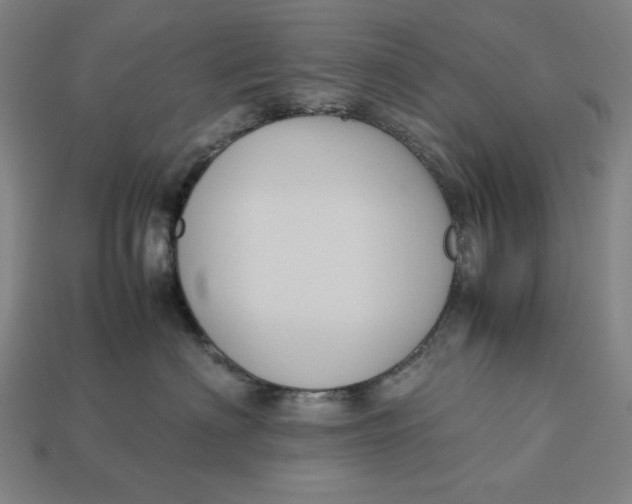 X0000113110622200909181630