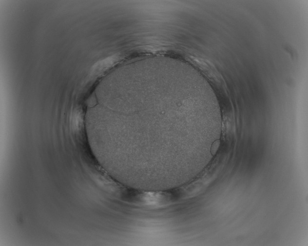 X0000113110623200909181630