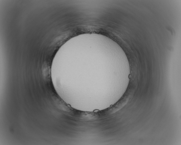 X0000113110624200909181630