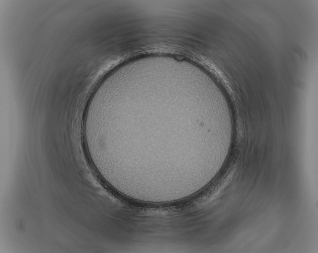 X0000113110625200909181629