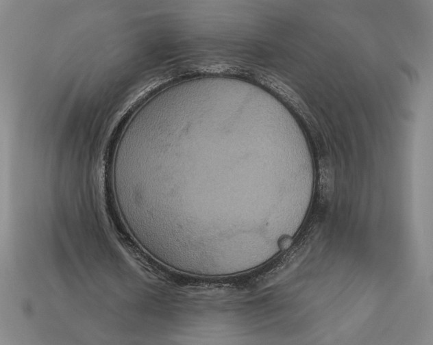 X0000113110626200909181629