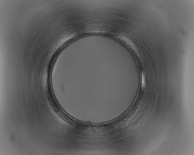 X0000113110627200909181629