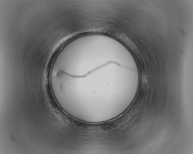X0000113110628200909181629