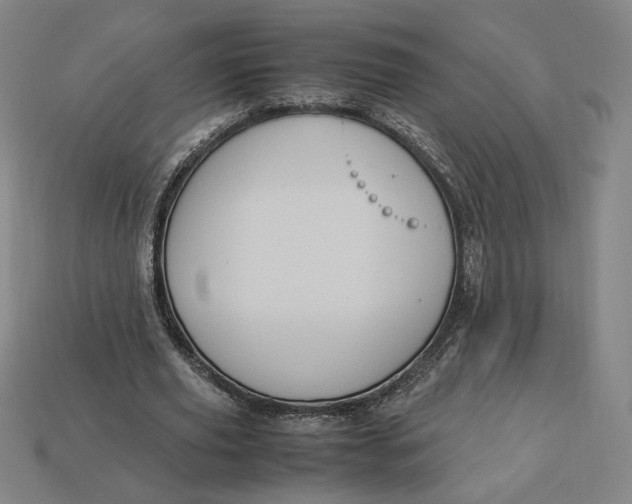 X0000113110629200909181629