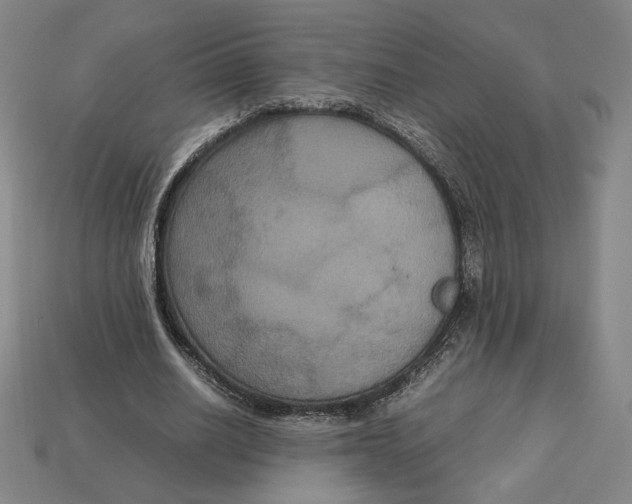 X0000113110630200909181629