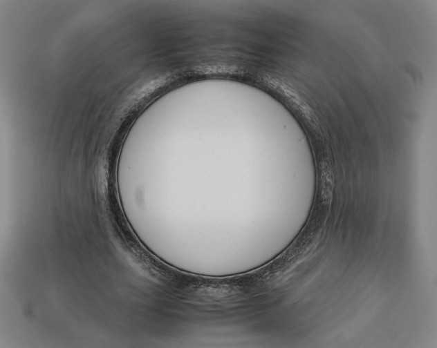 X0000113110631200909181629