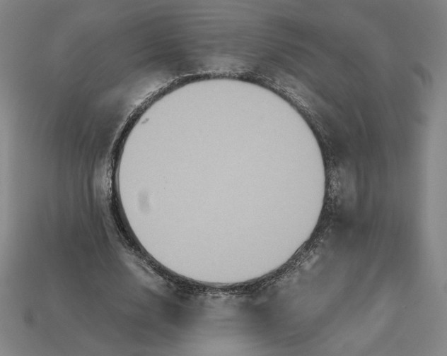 X0000113110632200909181629