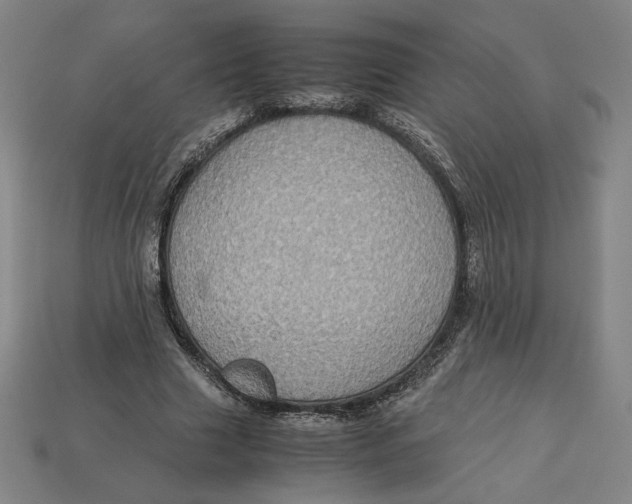 X0000113110633200909181629