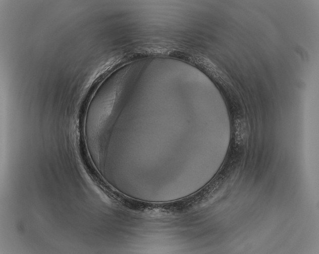 X0000113110634200909181629