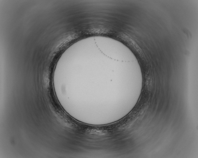 X0000113110635200909181629